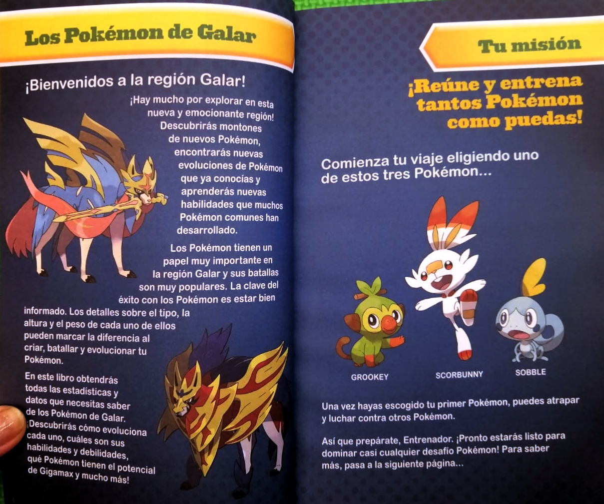 Pokémon guía definitiva de la Región Galar. Libro oficial. Pokémon Espada /  Pokémon Escudo (Colección Pokémon)